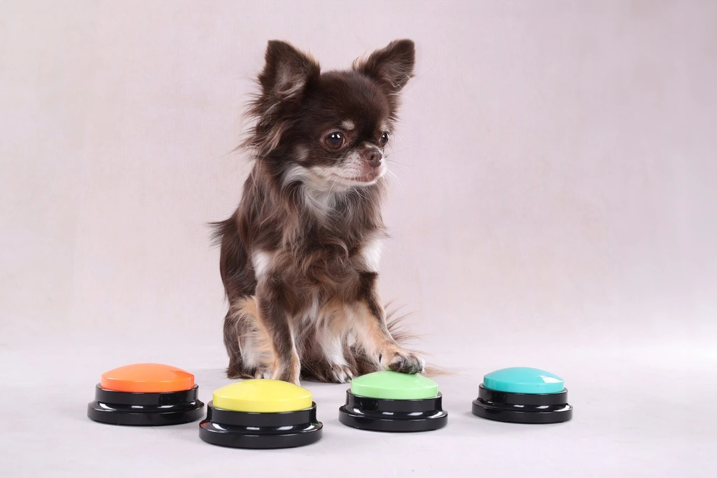 Optag knap til hunde og katte blue - interaktiv læring til kæledyr